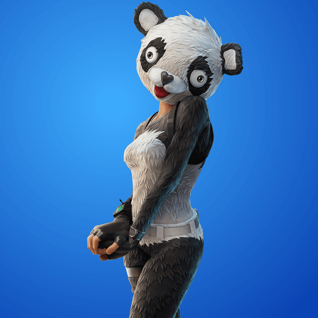 P.A.N.D.A Team Leader